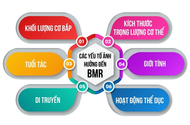 Các yếu tố ảnh hưởng đến TDEE